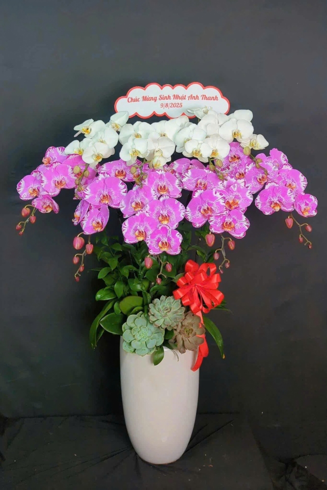 Lan Hồ Điệp Vàng May Mắn - LHD014