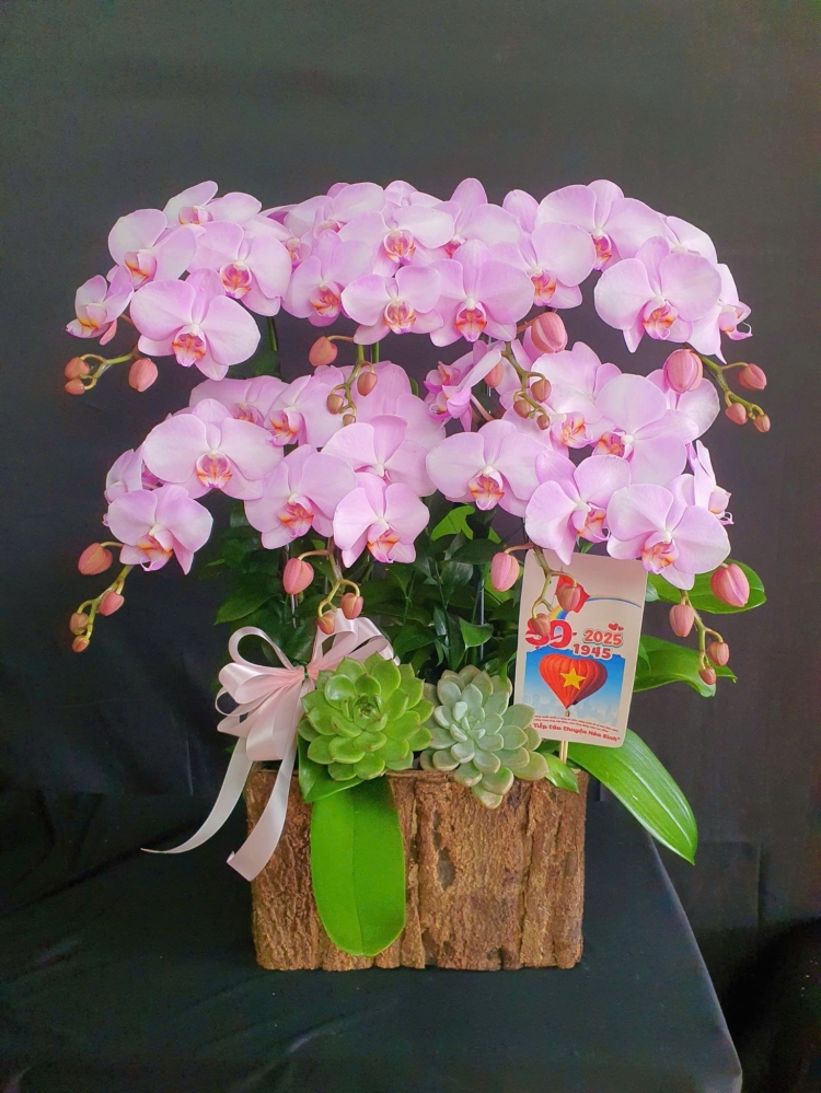 Hộp hoa hồng phấn ngọt ngào