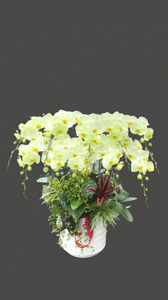 Tác phẩm vàng xanh bơ sáng sủa thanh thoát