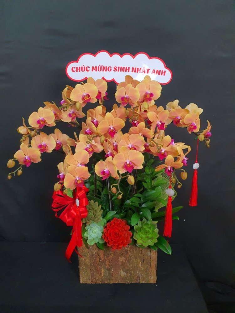 Chậu hoa cam rực rỡ