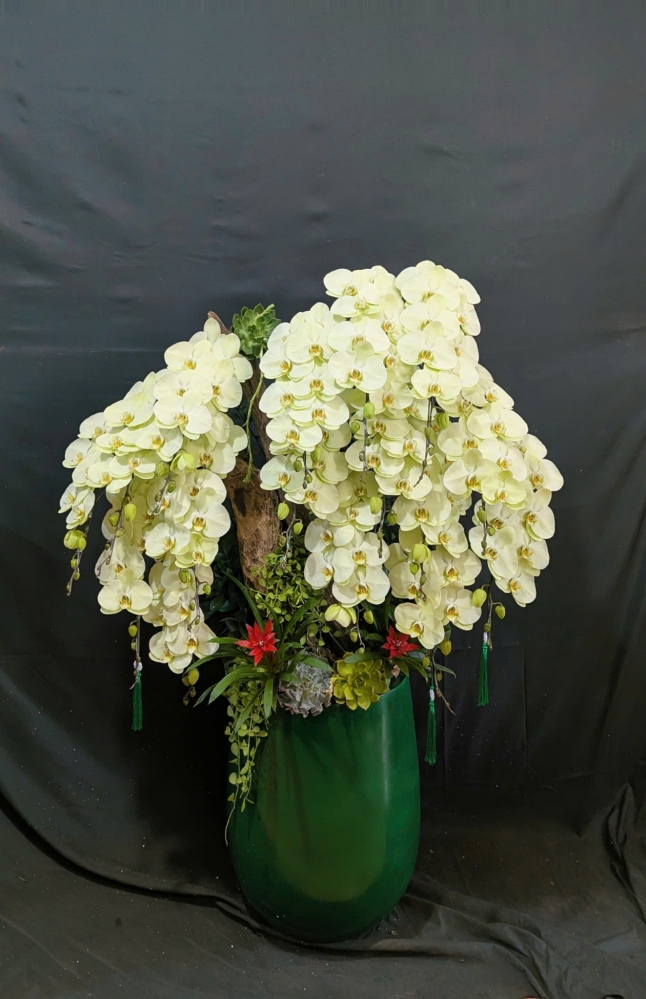 Lan Hồ Điệp  Xanh Bơ Mix Lũa Cao Cấp - LHD355