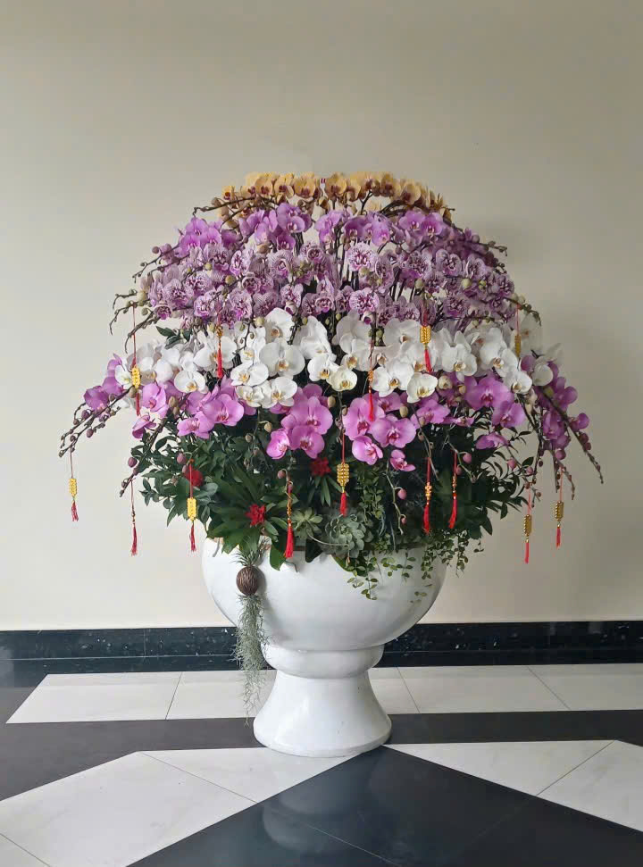 Lan Hồ Điệp Mix Màu Cắm Ly Cao Cấp - LHD390