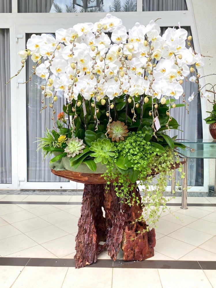 Tác phẩm hoa lan hồ điệp 2