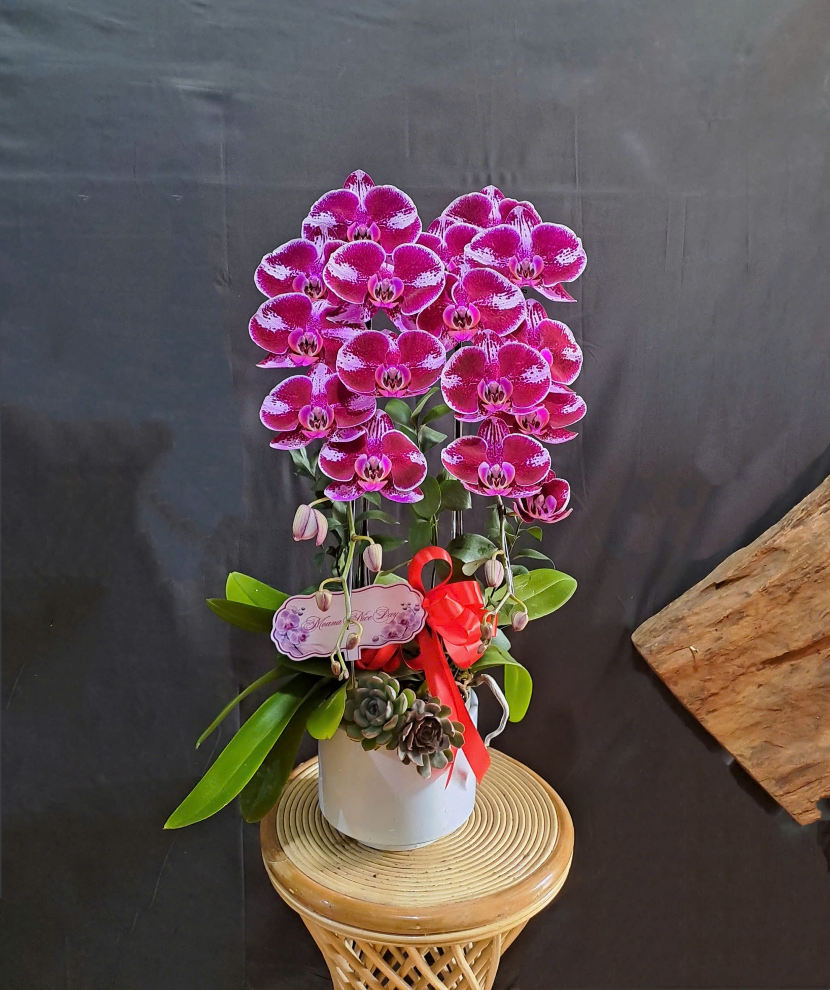 1784513389685 8592983406964764681 8592983406964764681 04ec94dcb9a02da3f4bcc6ea04f8ccf6