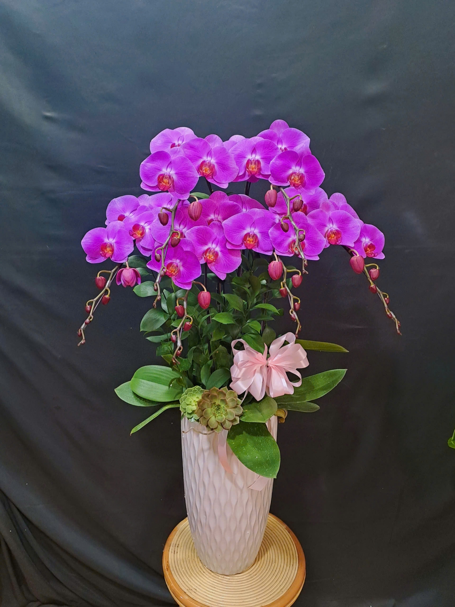 Hoa lan hồ điệp tím